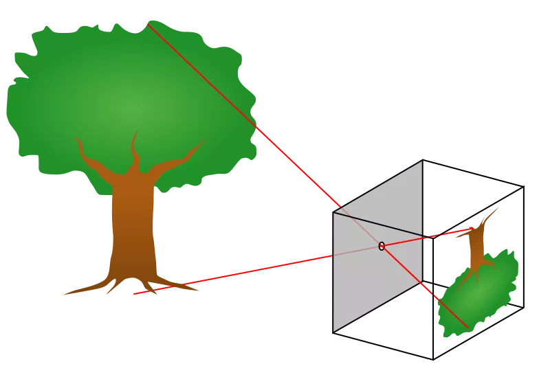 Pinhole Cameras